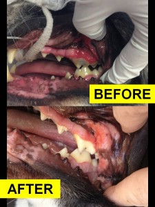 Dental_BeforeAfter