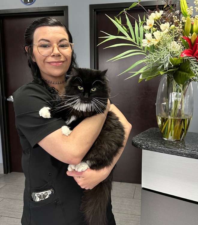 Ally, Receptionist