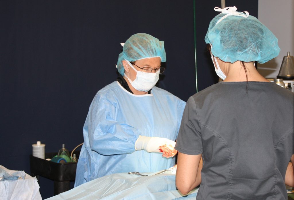 Dr.-Newman_in-surgery-1024x696