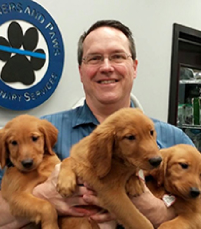 Timothy Brandes, DVM, Veterinarian