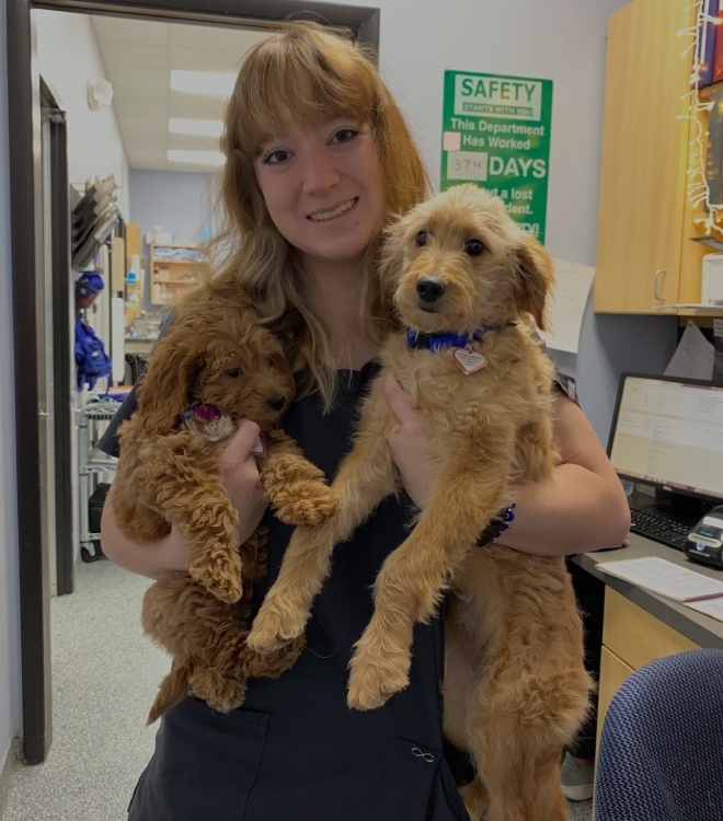 Lauren, Veterinary Assistant