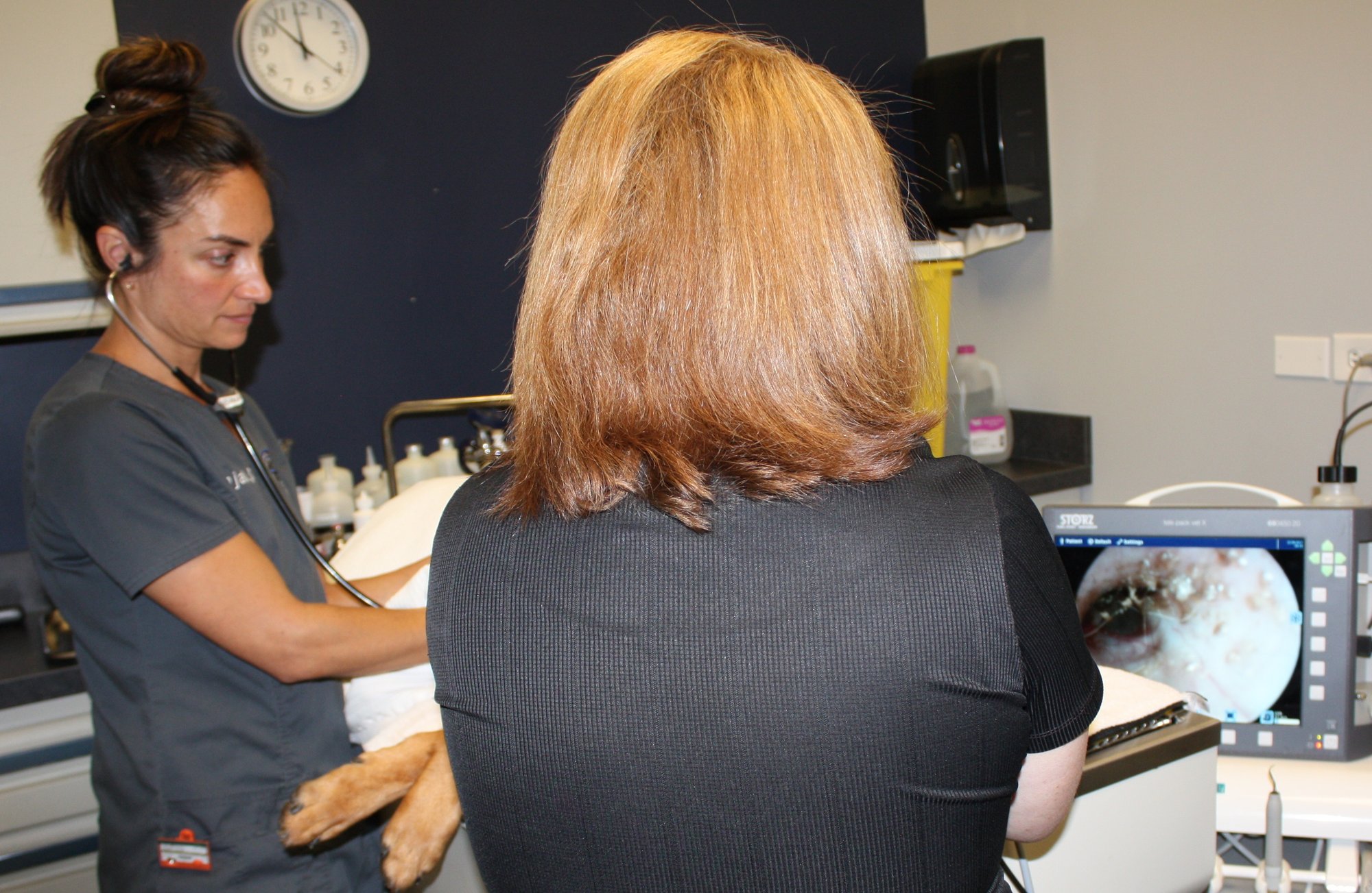 Newman_endoscopy (1)