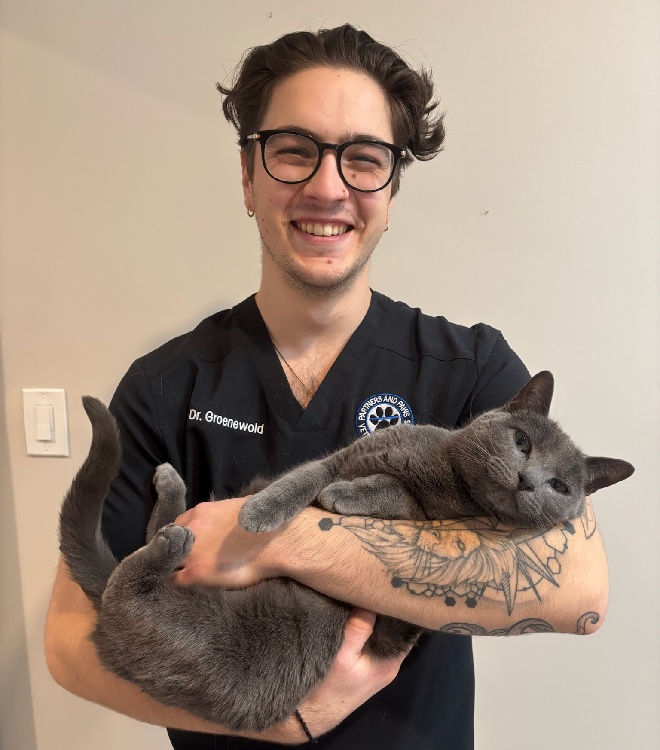 Andrew Groenewold, DVM, Veterinarian