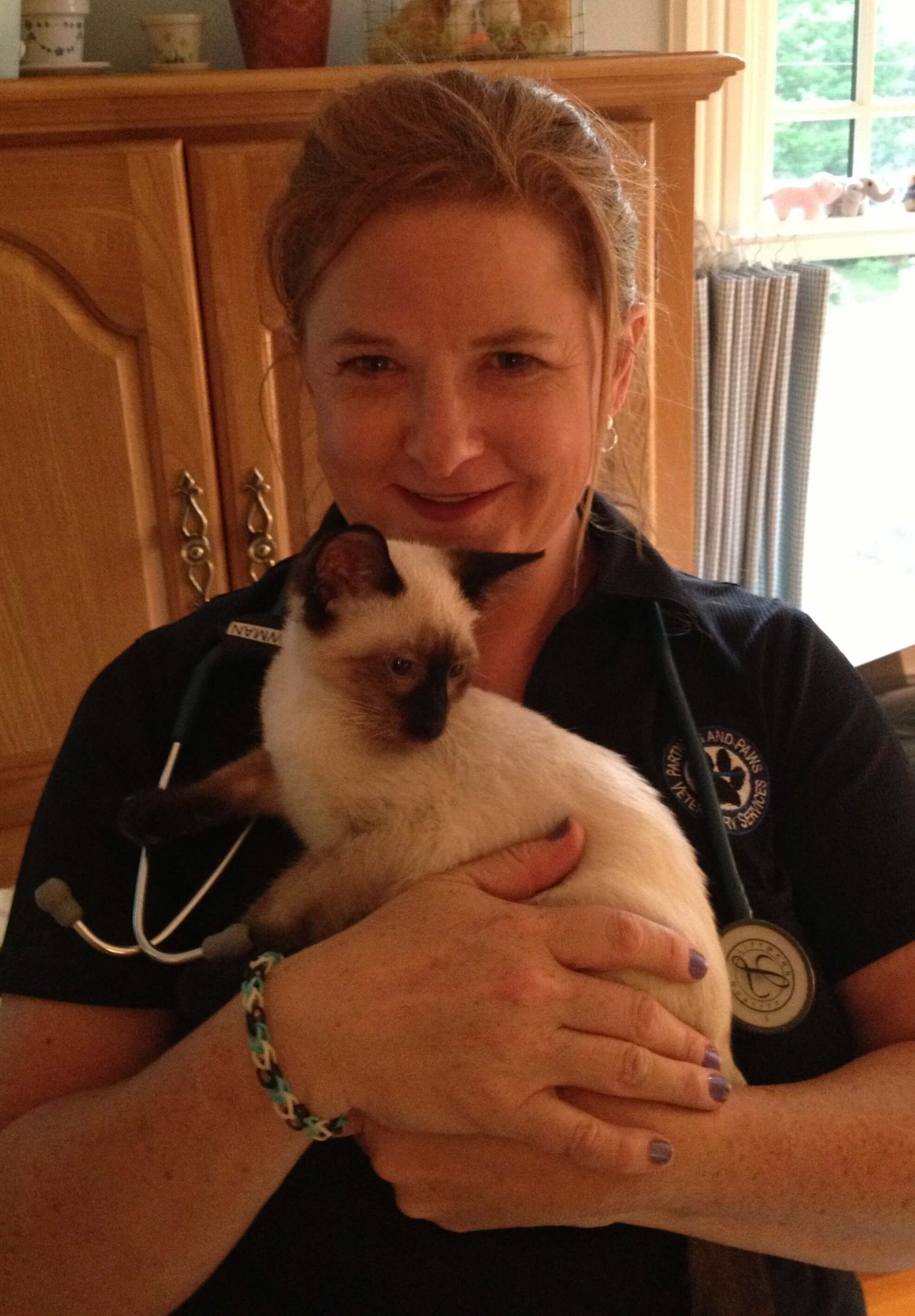 dr-newmans-first-cat-housecall (1)