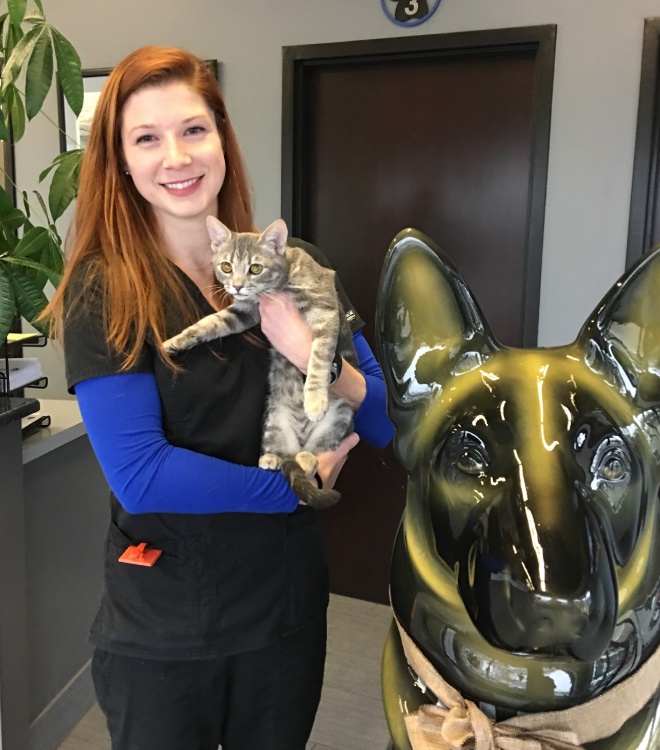 Maddie, Veterinary Assistant