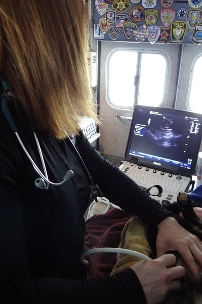 ppvs_ultrasound