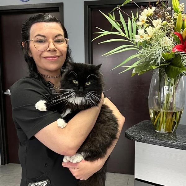 Ally smiling while holding fluffy tuxedo cat