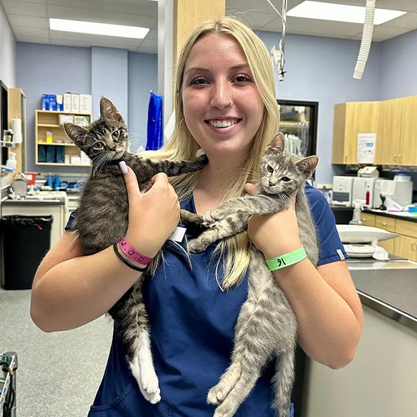 Bri smiling and holding two striped tabby cats
