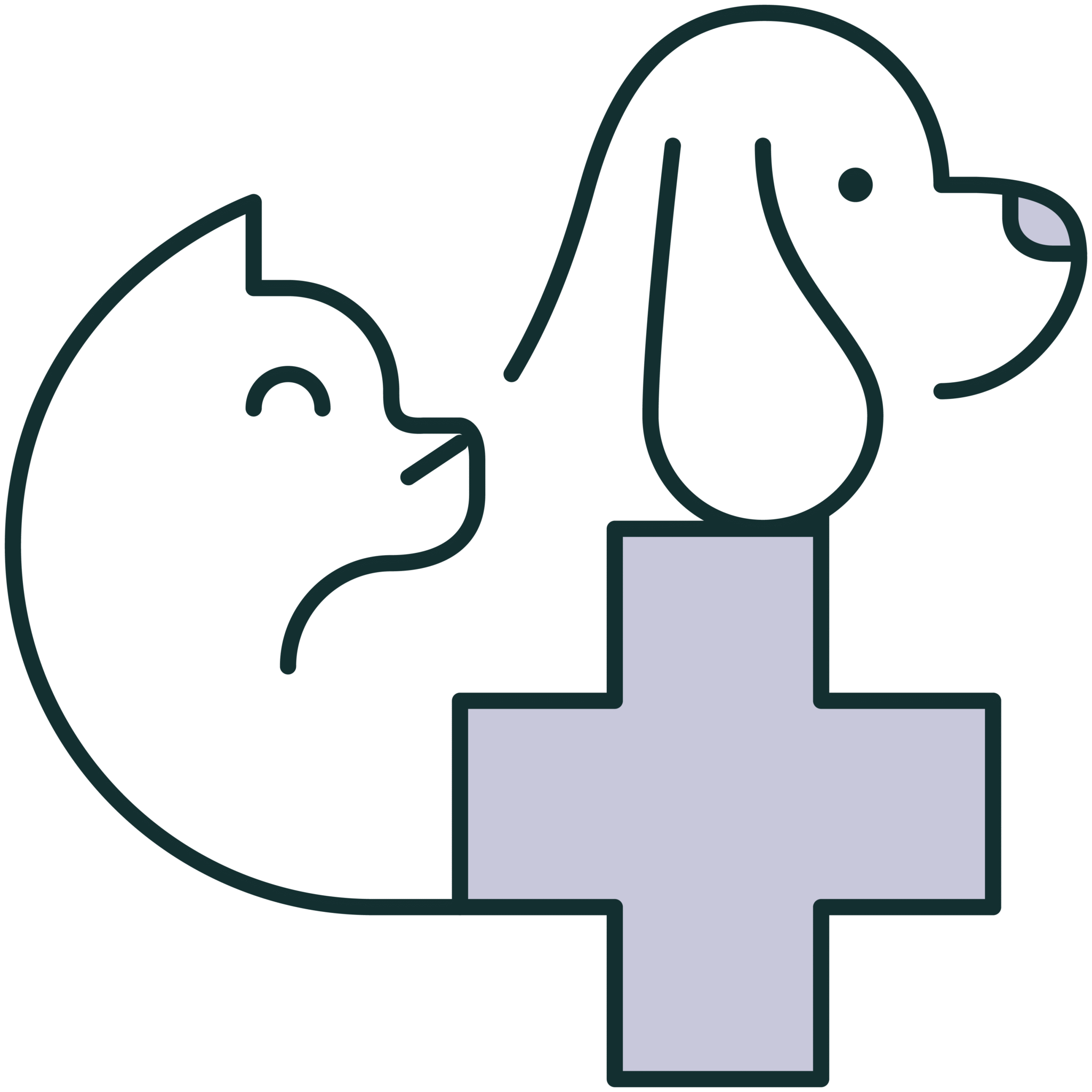Pet Care Icon