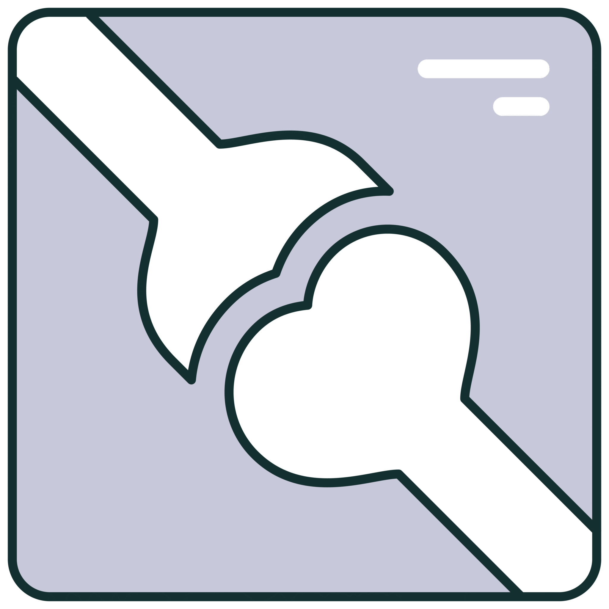 X Ray Icon