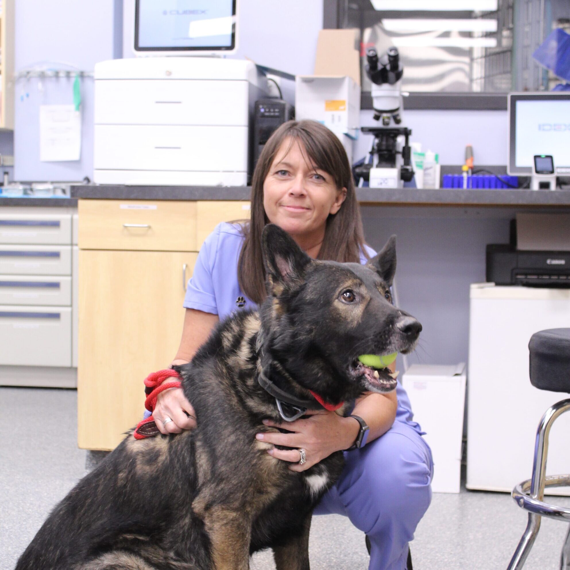 vet and dog