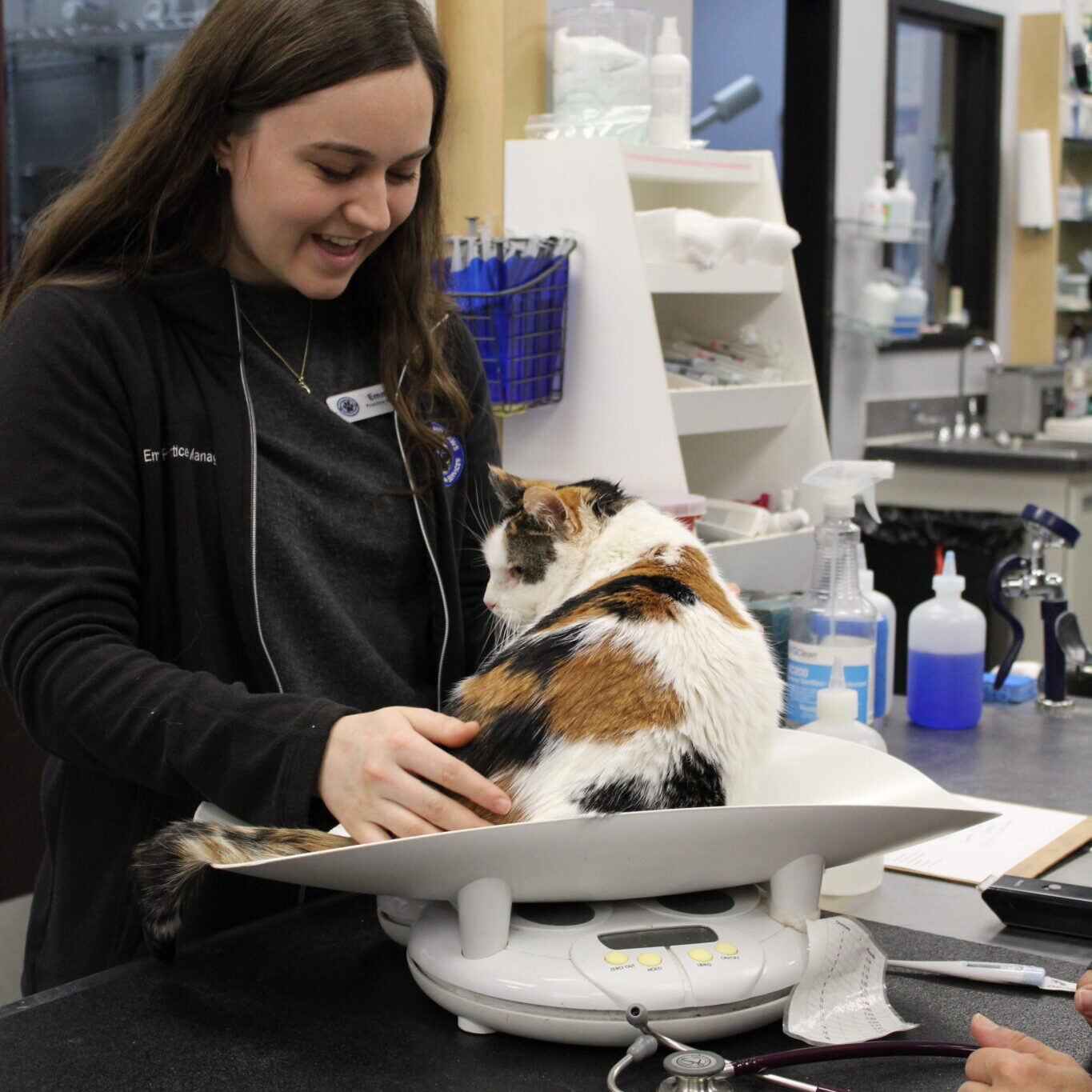 Vet And Cat Exam