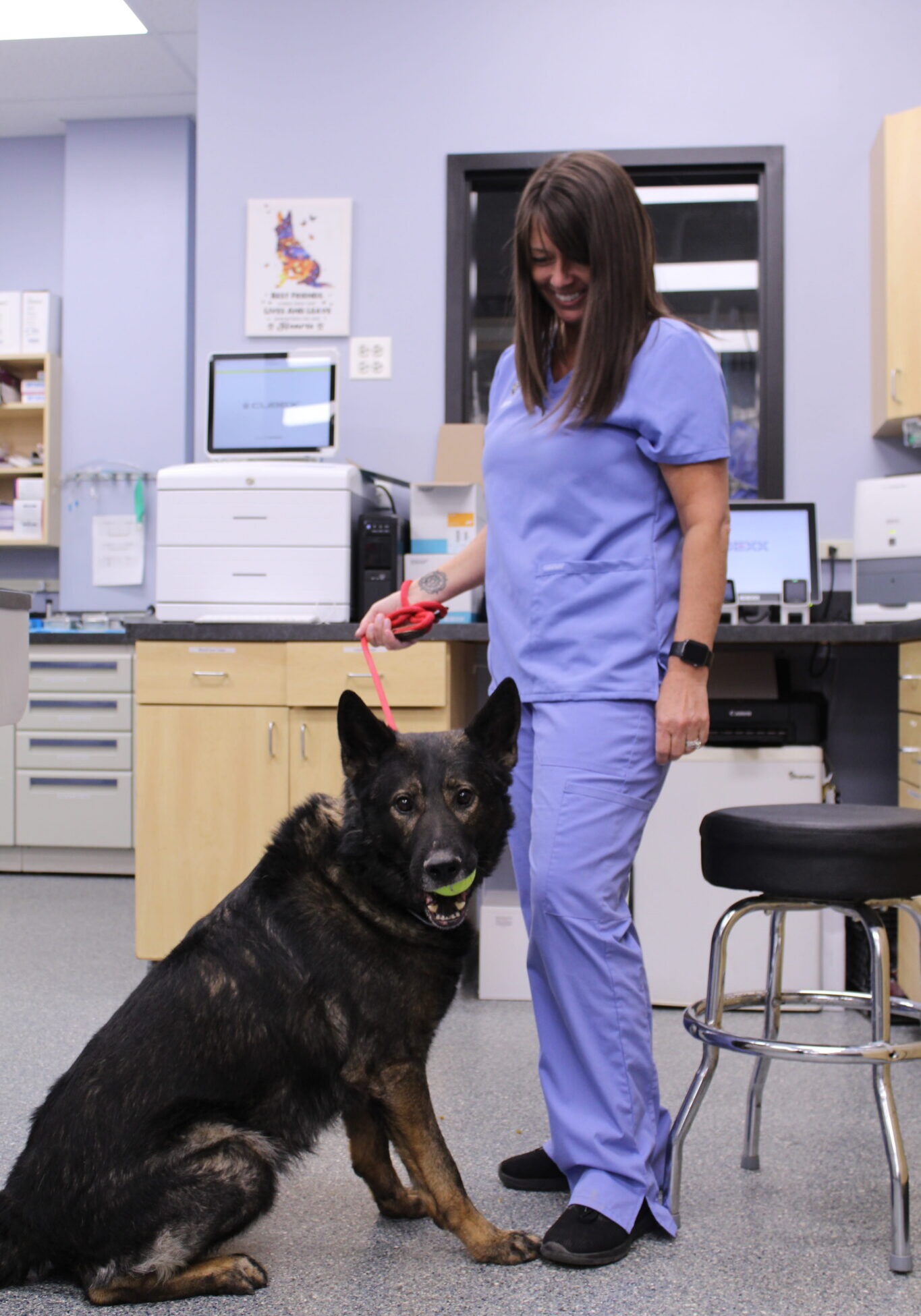 Vet And Dog Ball