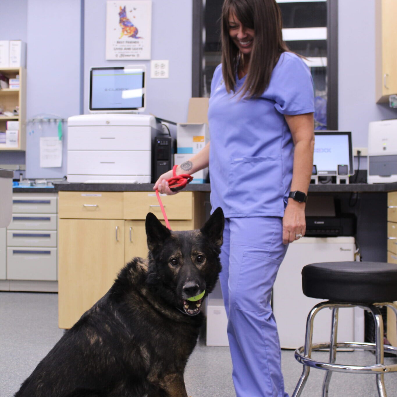 Vet And Dog Ball